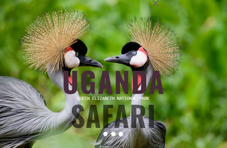ยูกันดาซาฟารี (Uganda Safari) มนตรายูกันดา
