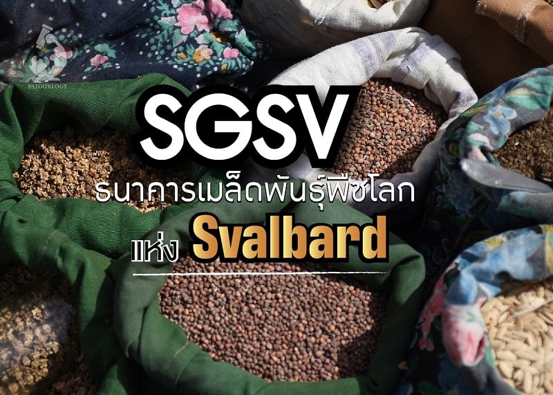 สฟาลบาร์ (Svalbard) ดินแดนธนาคารเมล็ดพันธุ์พืชโลก (SGSV)