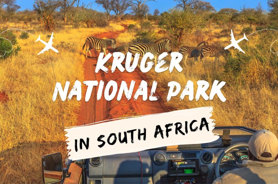 ประสบการณ์ 4D ที่อุทยานแห่งชาติครูเกอร์ใน “แอฟริกาใต้”