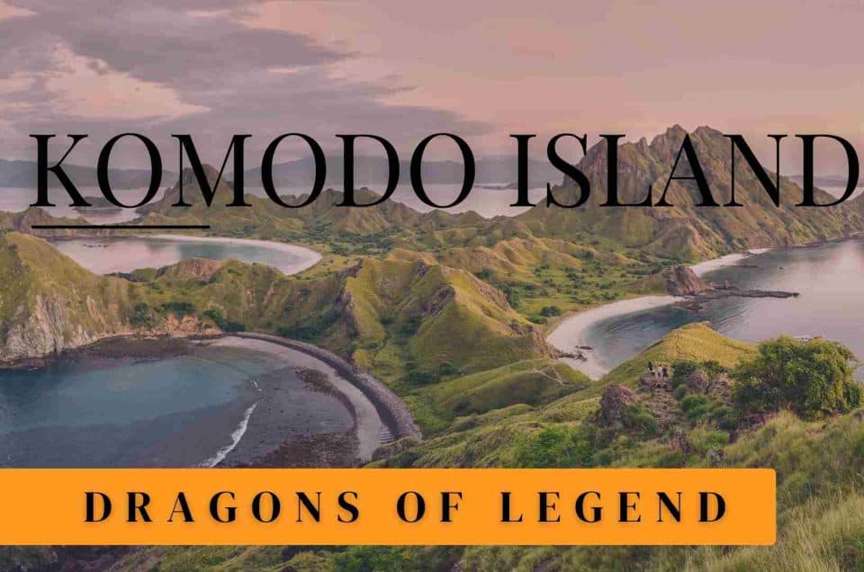 ล้วงตำนานของมังกรโคโมโด (DRAGONS OF LEGEND) กับการเดินทางล้านปีในหมู่เกาะโคโมโด (Komodo) ณ ประเทศอินโดนีเซีย
