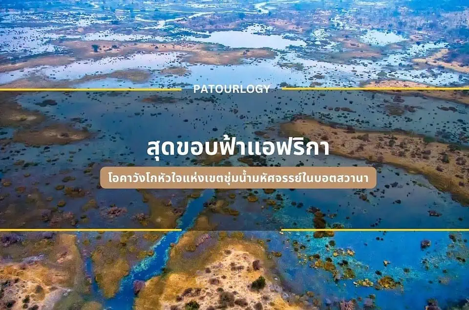 สุดขอบฟ้าแอฟริกา โอคาวังโกหัวใจแห่งเขตชุ่มน้ำมหัศจรรย์ในบอตสวานา