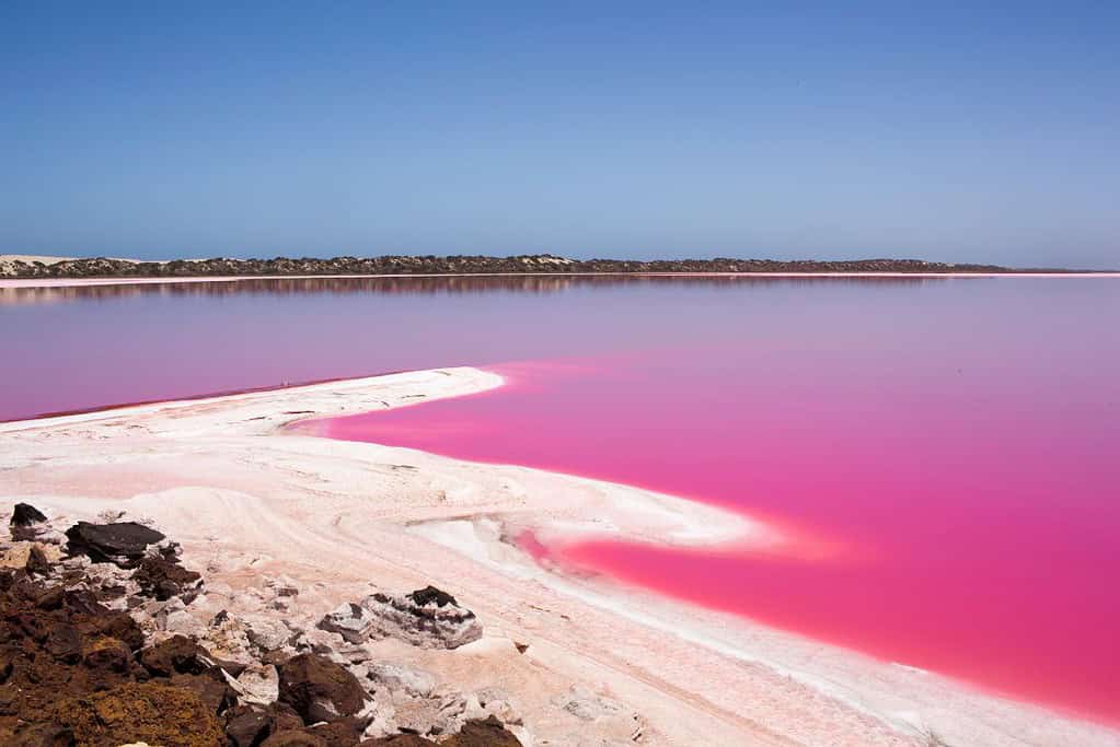 ทะเลสาบสีชมพู