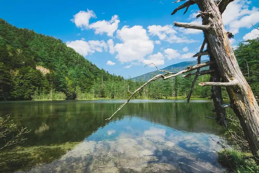 บึงไทโช Kamikochi
