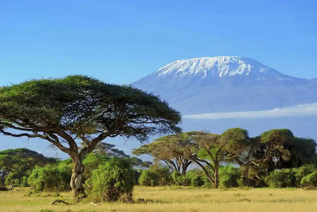 แอฟริกา เทือกเขาคิลิมันจาโร (Mount Kilimanjaro)