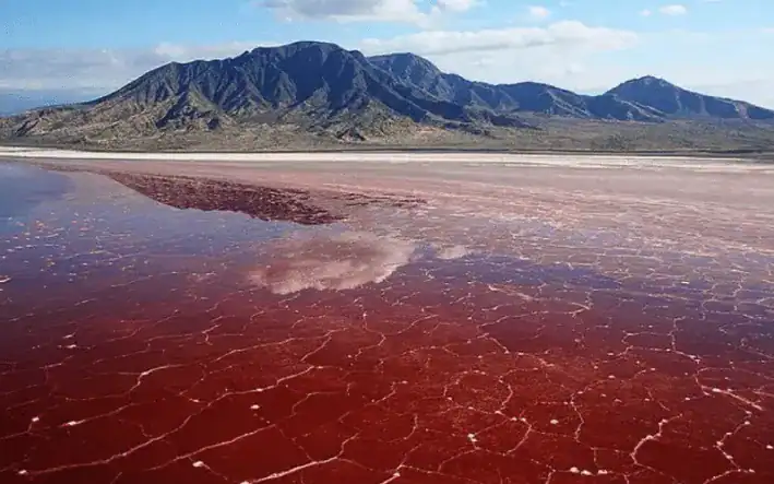 ทะเลสาบนาตรอน (Lake Natron)