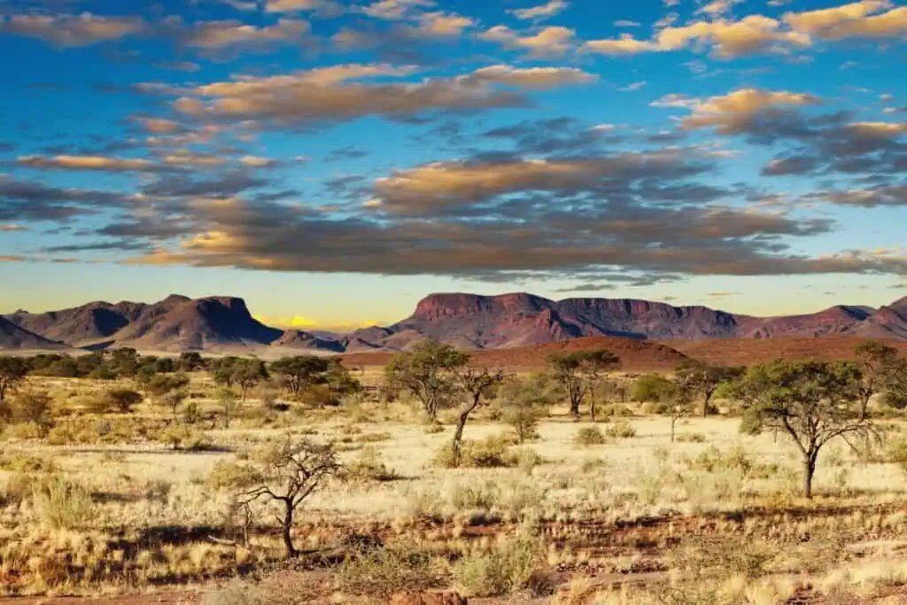 ทะเลทรายคาลาฮารี (Kalahari Desert)